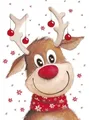 Diamantmalerei Weihnachtsmotiv 20 x 30 bis 30 x 40 cm rund/eckig – Farbe VET0499