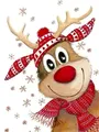 Diamantmalerei Weihnachtsmotiv 20 x 30 bis 30 x 40 cm rund/eckig – Farbe VET0498