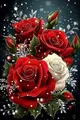 Rote Rose Diamantmalerei 20 bis 70 cm – 1