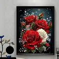 Rote Rose Diamantmalerei 20 bis 70 cm – 2