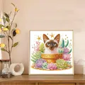 Spezialform Diamantmalerei Katze 30 x 30 cm für Erwachsene – 5