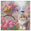 Spezialform Diamantmalerei Katze 30 x 30 cm für Erwachsene – Farbe AT813