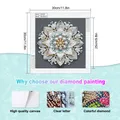 Spezialform Diamantmalerei Weiße Blume Set für Erwachsene Anfänger Deko – 2