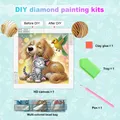 Tierfreunde Diamantmalerei Sonderform 30 x 30 cm – 3